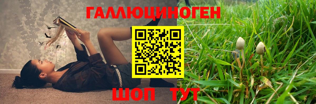 Тельмана  купить наркотики цена  Вход с VPN  Псилоцибиновые грибы мицелий 
