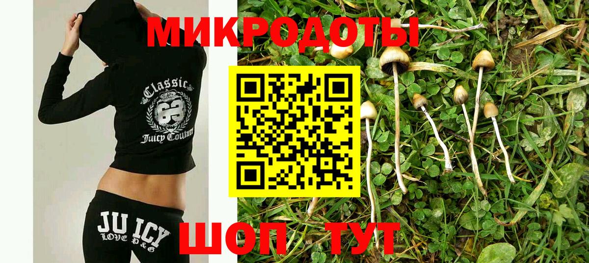 Галлюциногенные грибы Psilocybe Тельмана